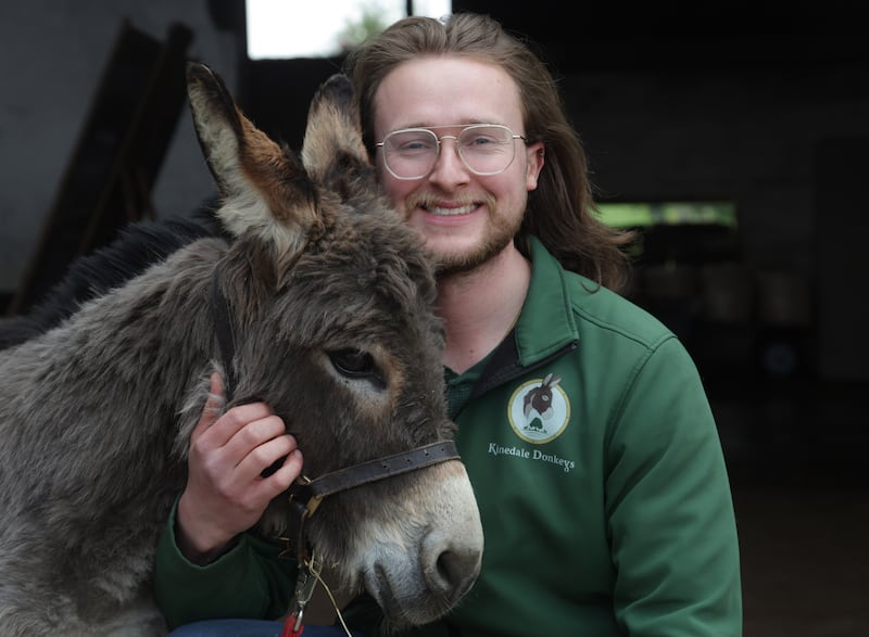 Robert Wallace from Kinedale Donkeys in Ballynahinch.
PICTURE COLM LENAGHAN