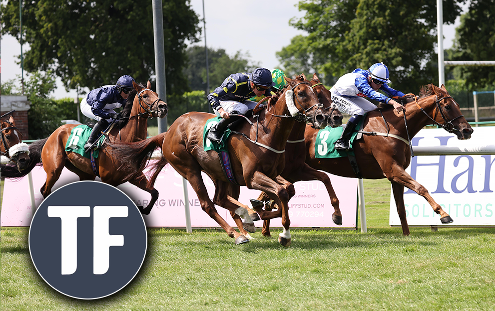 Timeform's Thirsk shouts on Saturday