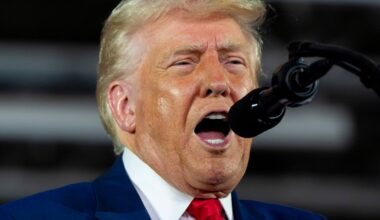 Donald Trump should have learned the lessons of Brexit