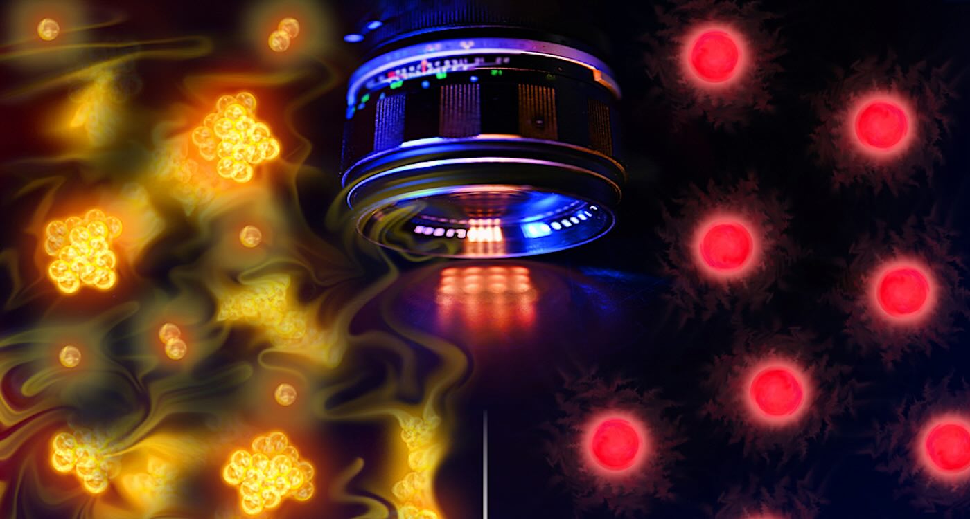 MIT Physicists Snap the First Ever Images of Atoms – Capturing Them in Their ‘Free-Range’ States