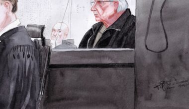 Former surgeon jailed for 20 years in France for raping 299 children – The Irish News