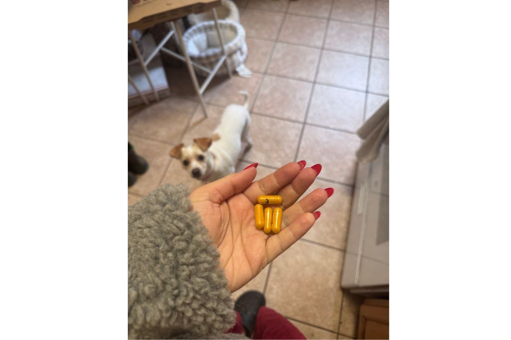 A hand with vitamins, and a dog watching.