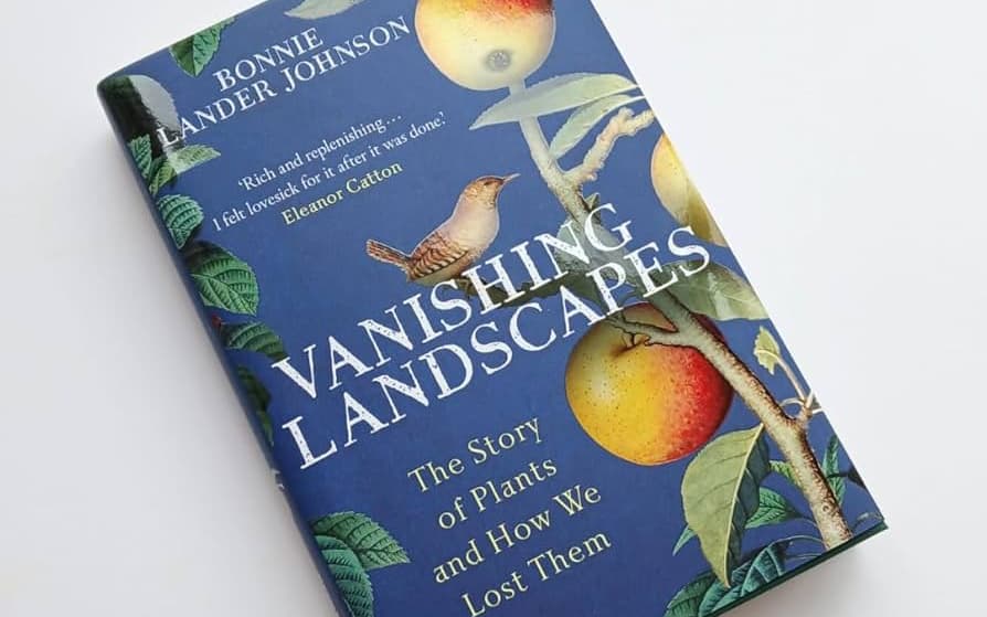 Vanishing Landscapes 