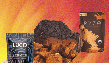 Mushroom Supplements Are the Biohackers’ Latest Fix (2025)