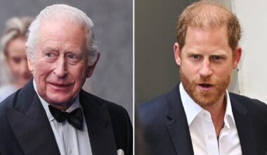 When Was the Last Time Prince Harry Saw King Charles III?