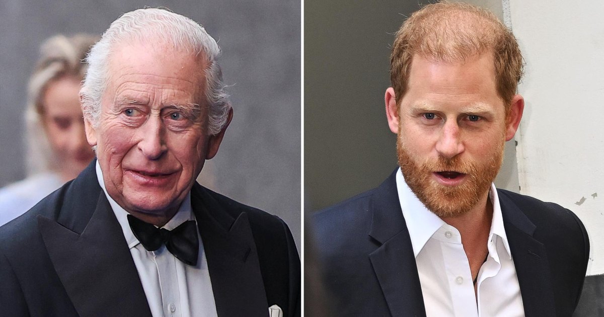 When Was the Last Time Prince Harry Saw King Charles III?