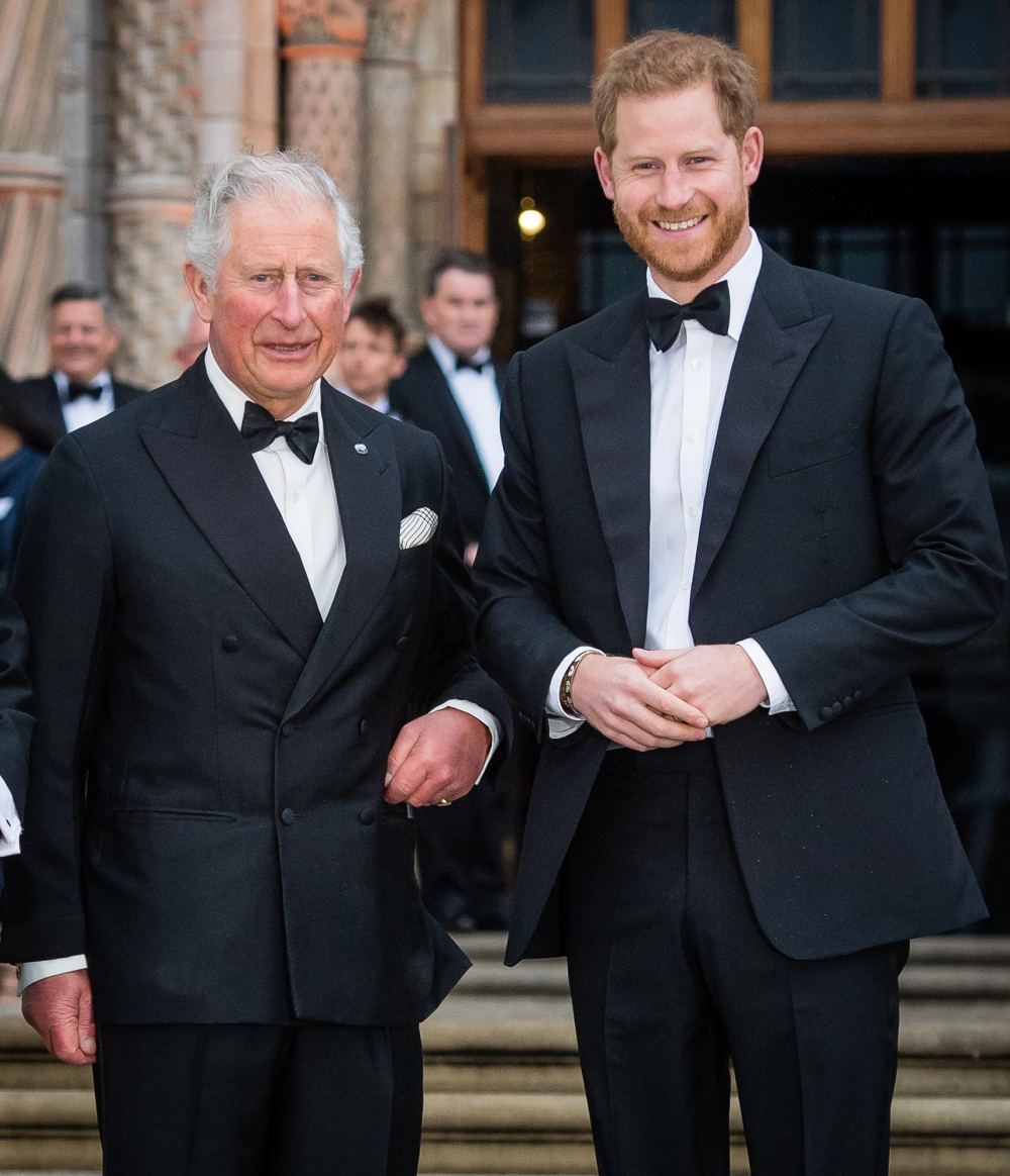 When Was the Last Time Harry Saw Charles They Were Together Publicly 474