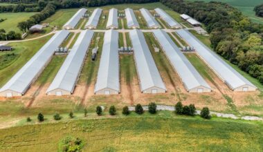 Cobb-Vantress boosts innovation pipeline with strategic research expansion