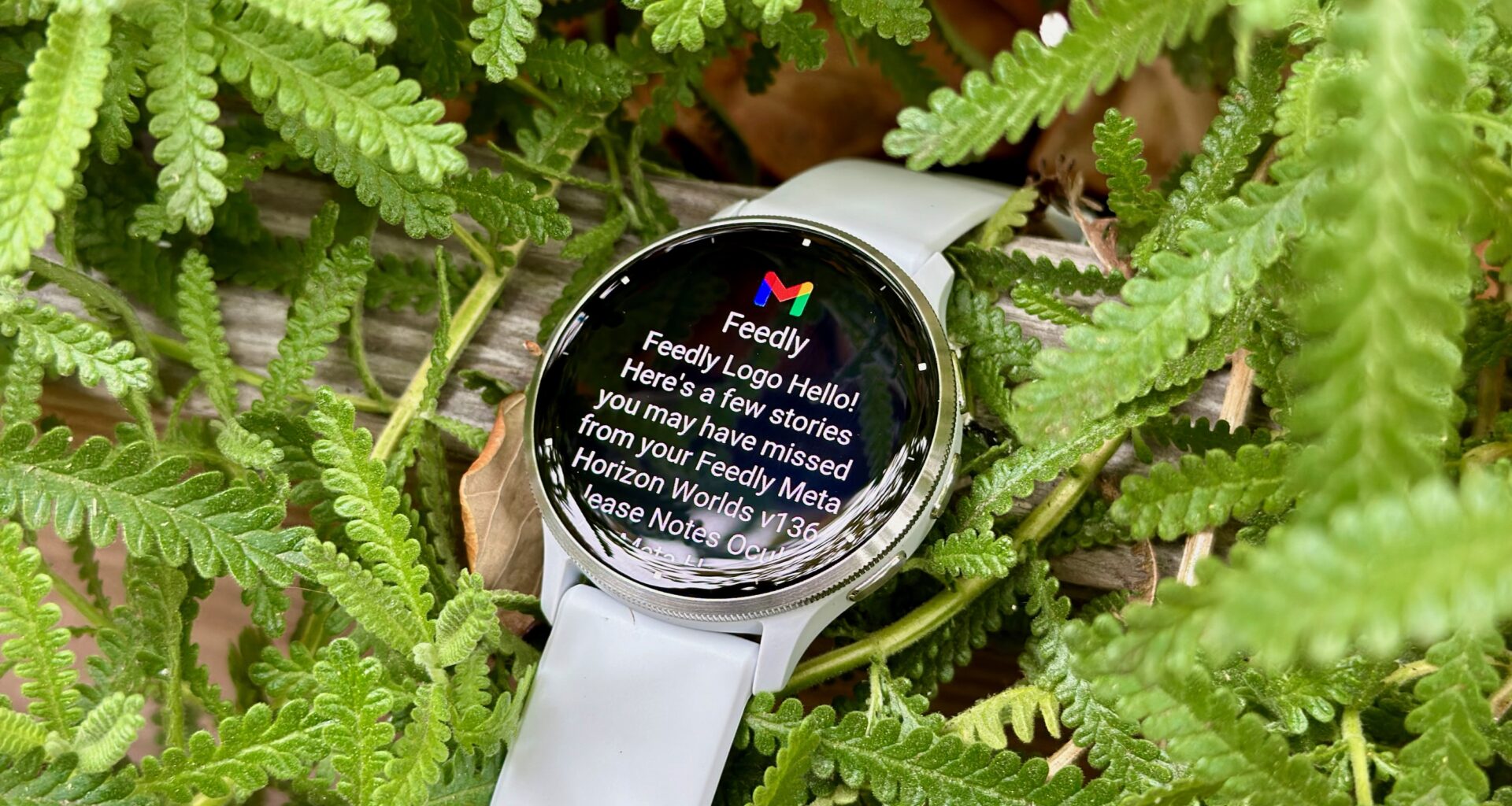 A Gmail notification on the Garmin Venu 3