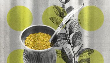 The Benefits of Yerba Mate Tea, Which Is Like Coffee Without the Crash
