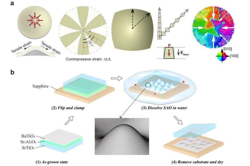 A recently realized ferroelectric topology in nanomembranes enables light field manipulation