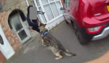 West Midlands Police's PD Kelly helped detain suspected offenders after they dashed from a car in Birmingham