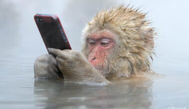 I Brought My Bestselling Wildlife Photography Book to Life with AI