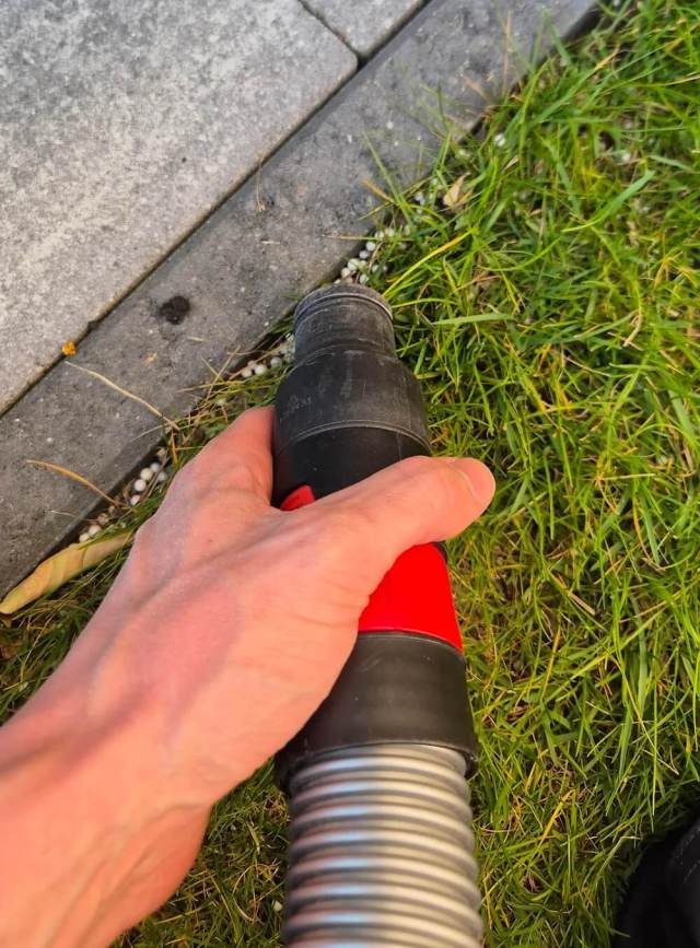 "I found them everywhere and saw them fly."