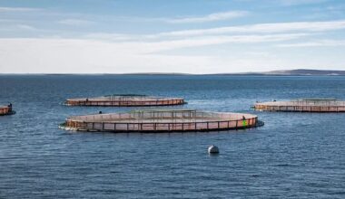 Salmon Scotland says UK-EU deal welcome