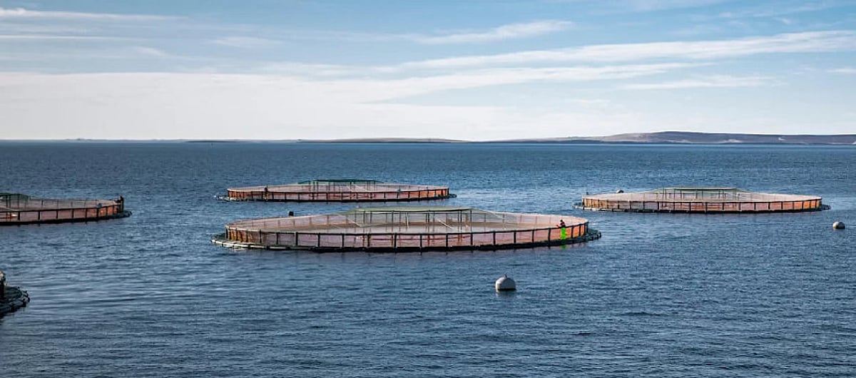Salmon Scotland says UK-EU deal welcome