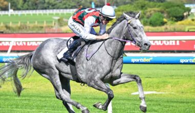 Statuario is one of the leading chances in the South Australian Derby on Saturday. Photo: Reg Ryan/Getty Images.
