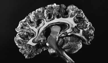 Neuroscience News logo for mobile.