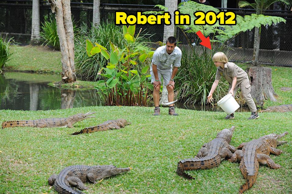 Two people feeding several crocodiles on a grassy area near a pond, holding buckets and extending tools toward the crocodiles