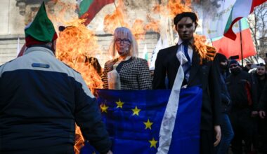 In Bulgaria, the prospect of adopting the euro has drawn protests (Nikolay DOYCHINOV)