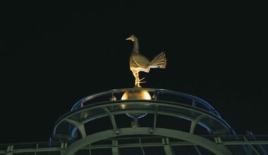 Cockerel Generic