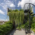 How to Design Residential Urban Terraces: Strategies for Living Well in High Places - Image 5 of 21