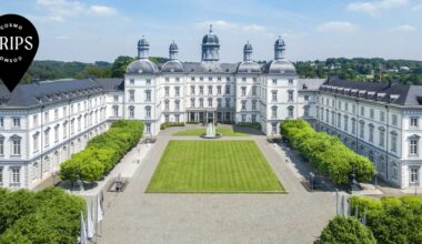 The Ultimate Itinerary for a Road Trip from Bavaria to Cologne