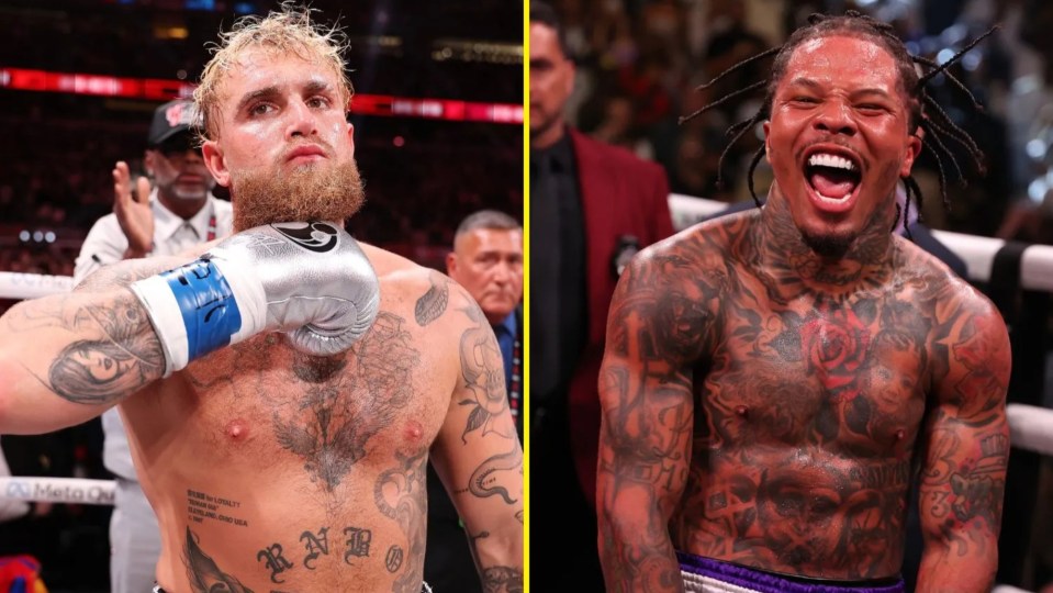 Paul and Davis are in negotiations to fight in November