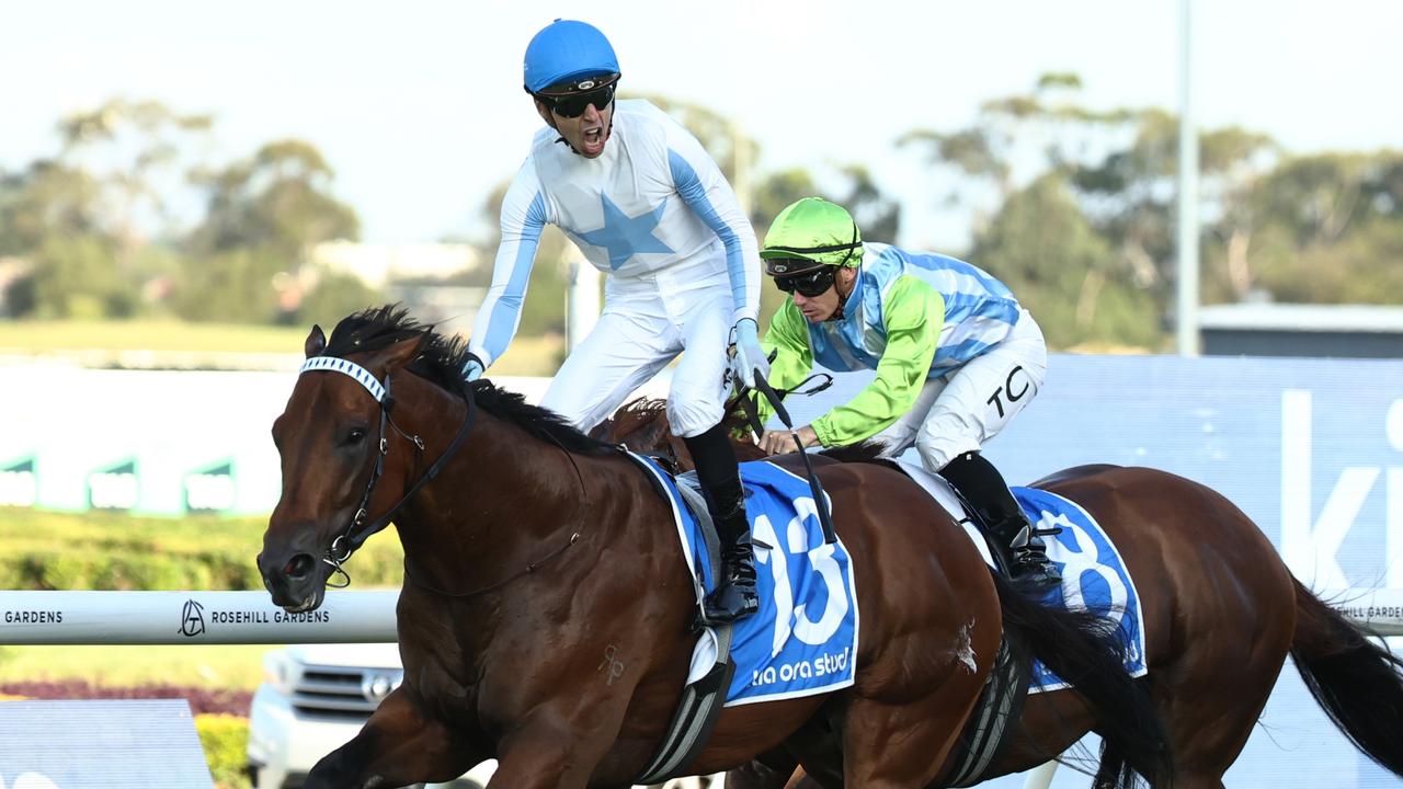 Sydney Racing: TAB Golden Slipper Day