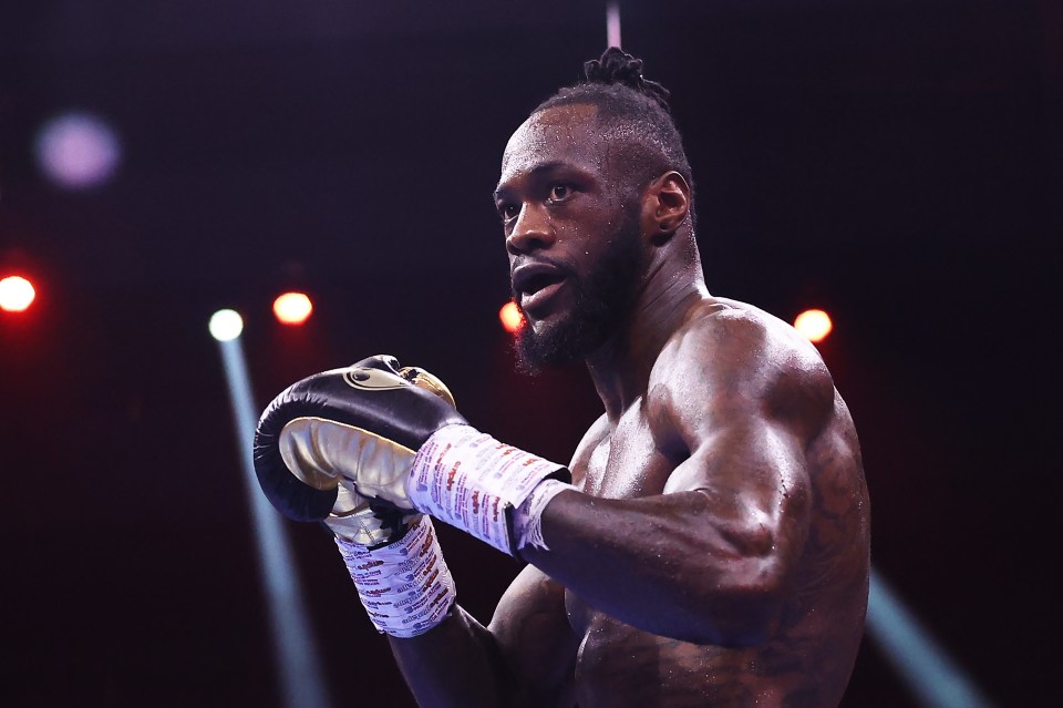 This has put 'The White Rhino' on a path to fight someone like Wilder next