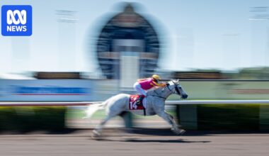 Advisory firm linked to Tabcorp undertaking publicly funded NT racing review