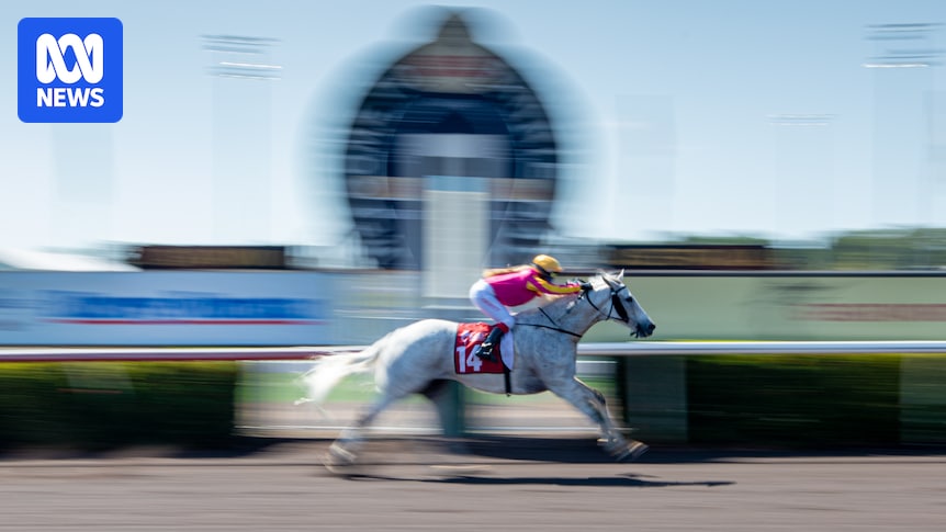 Advisory firm linked to Tabcorp undertaking publicly funded NT racing review