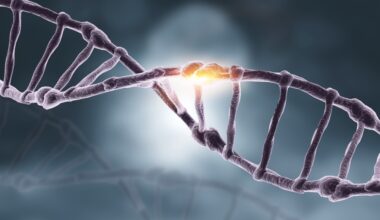 DNA strand CRISPR editing