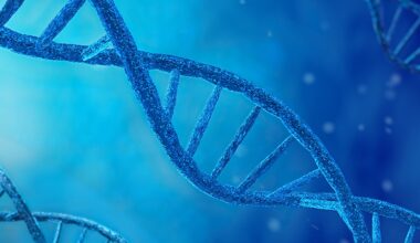 Novel Genetic Variant May Drive MASLD