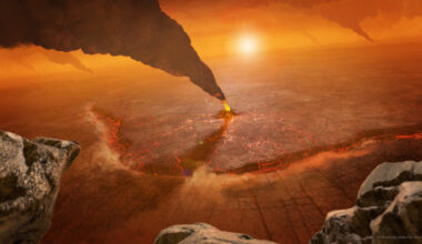 Magellan data provides new insight into tectonic processes on Venus