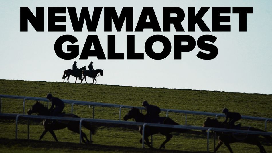 Racing Post logo