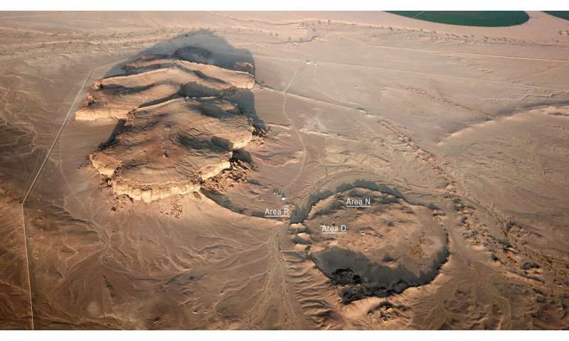 Earliest use of psychoactive and medicinal plant 'harmal' identified in Iron Age Arabia