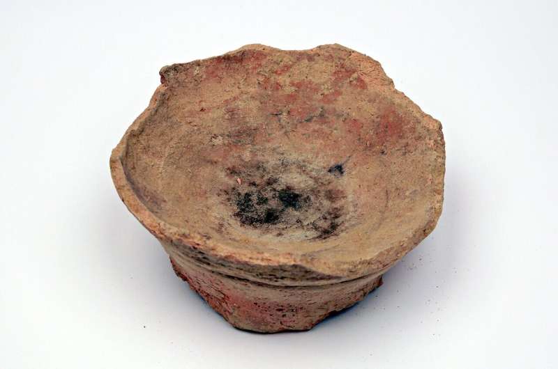 Earliest use of psychoactive and medicinal plant 'harmal' identified in Iron Age Arabia