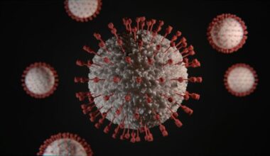Epstein-Barr Virus and Genetics Raise MS Risk