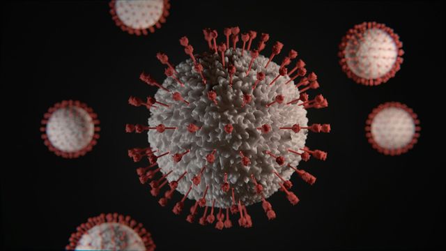 Epstein-Barr Virus and Genetics Raise MS Risk