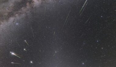 The Eta Aquariid Meteor Shower Is Just About to Peak : ScienceAlert