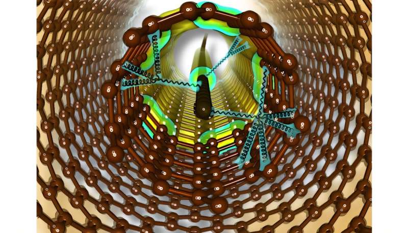 Exotic vibrations in new materials