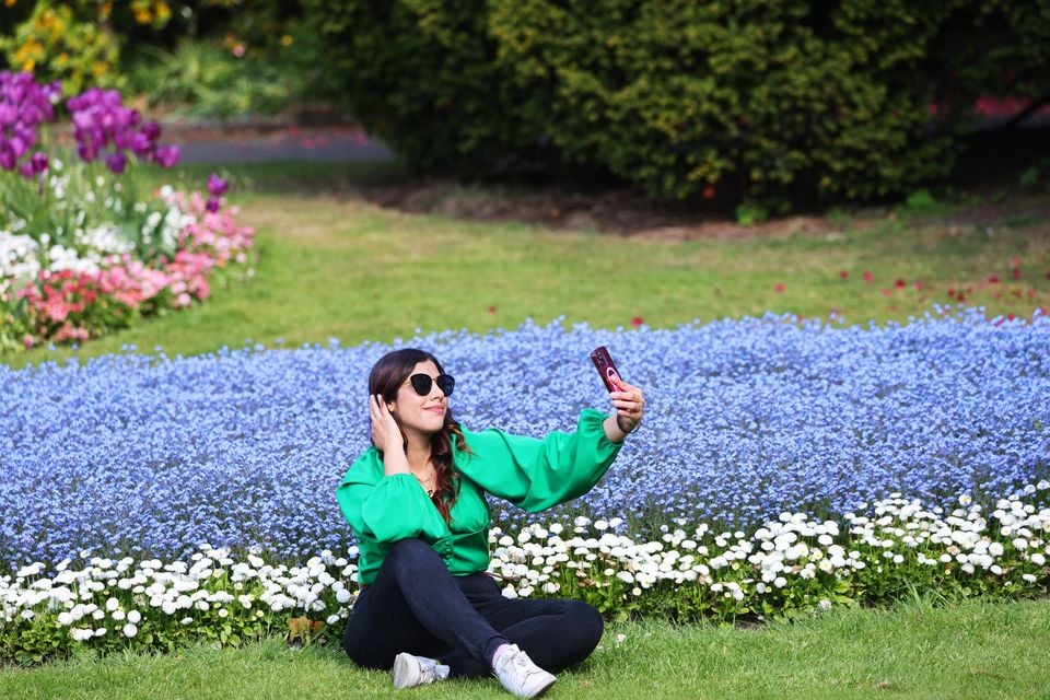 Sun seekers at Botanic Park