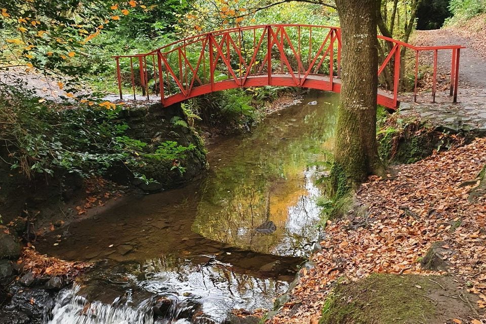 Clare Glen, Armagh