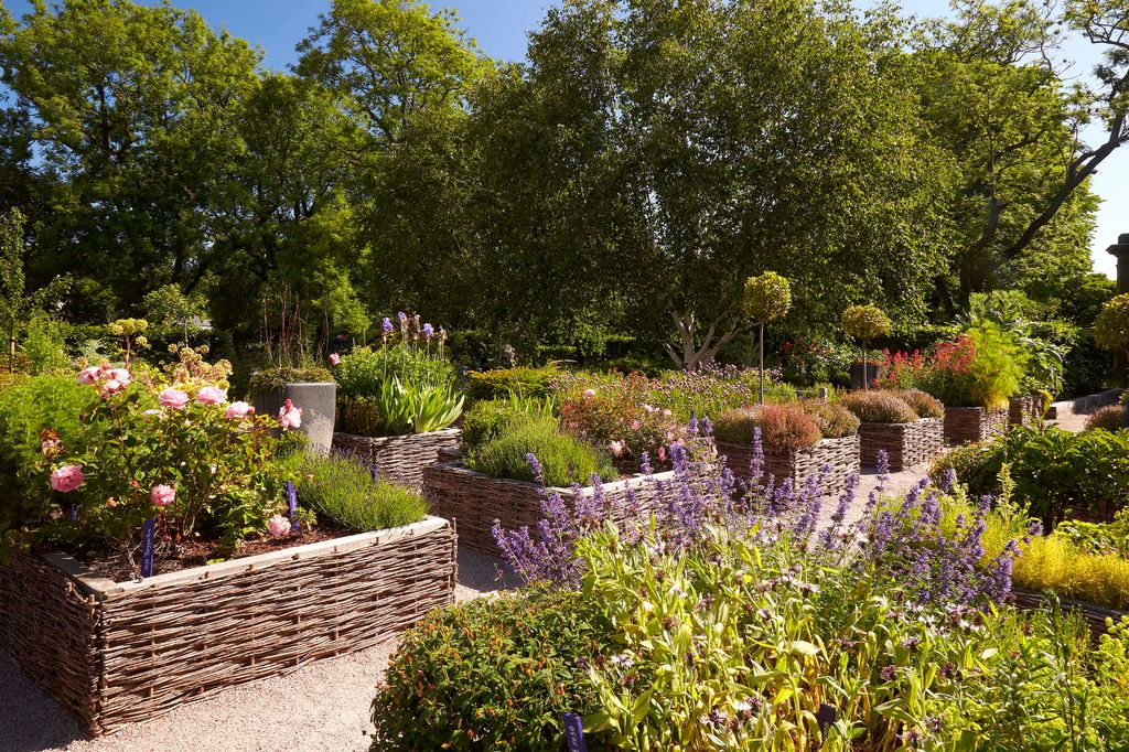 The Physic Garden at the Palace of Holyroodhouse