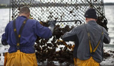 Starmer’s ‘Brexit reset’ has cast fishermen adrift