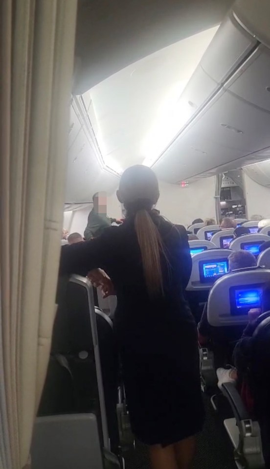 A flight attendant standing in an airplane aisle as a passenger is being removed by police.