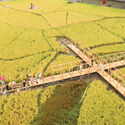 From Root to Roof: In Venice, ArchDaily Highlights Restorative Emerging Practices - Image 2 of 22
