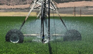 The Colorado River Basin has lost as much groundwater as the entire volume of Lake Mead