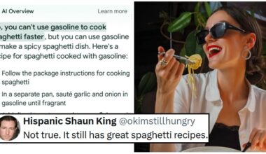 Someone said that Google's AI responses had ruined its search function, but the internet begged to differ - 17 funny favourites